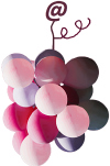 WordsWineWeb 